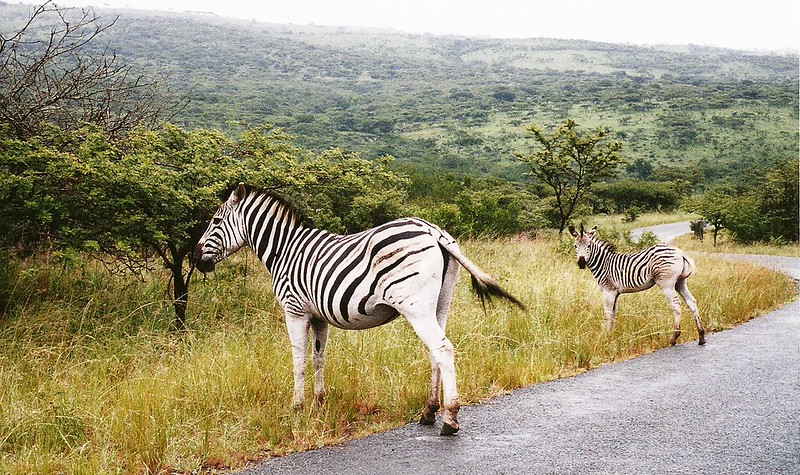 Durban Game Reserves